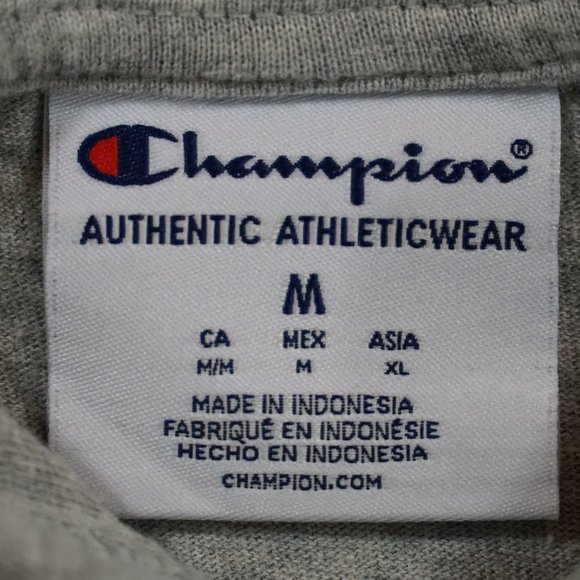 Champion Men's Fleece PowerBlend Logo Pullover Hoodie Grey Medium - Picture 6 of 6